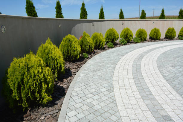 Best Interlocking Driveway Pavers  in Dilkon, AZ